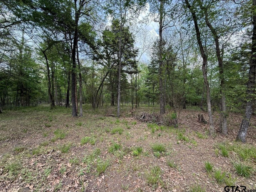 Picture 18