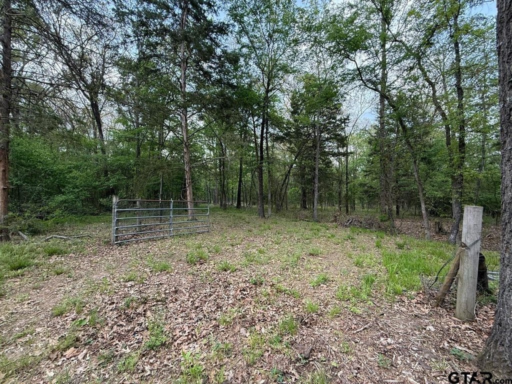Picture 8
