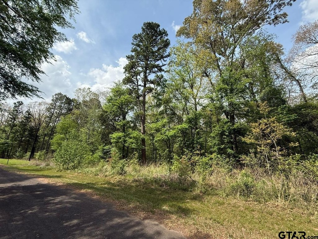 Picture 20