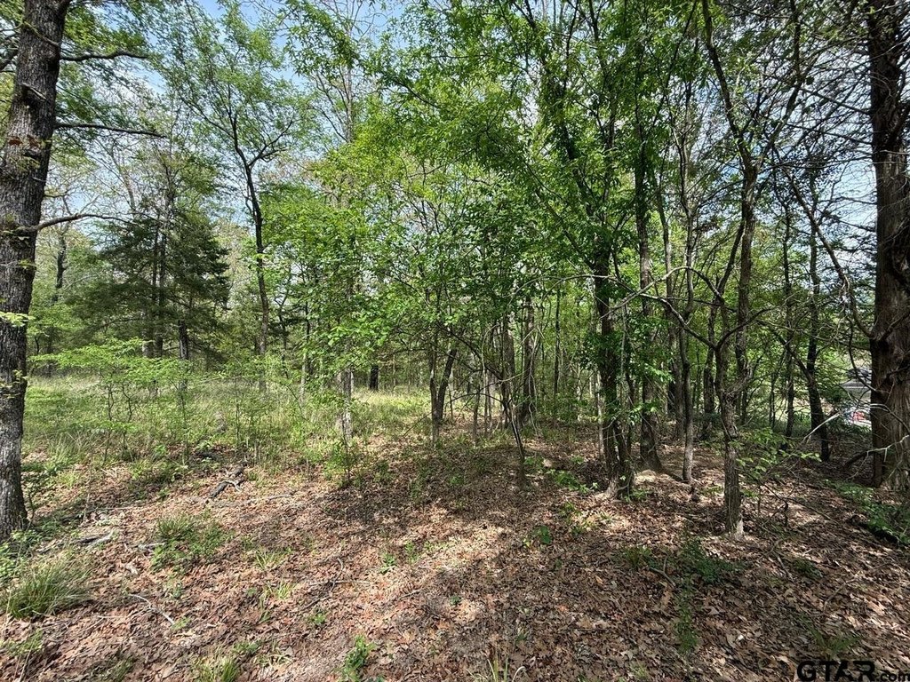 Picture 25