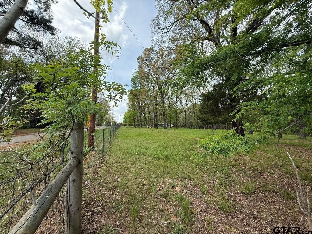 Picture 5