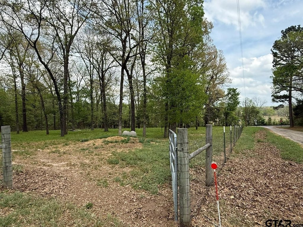 Picture 6