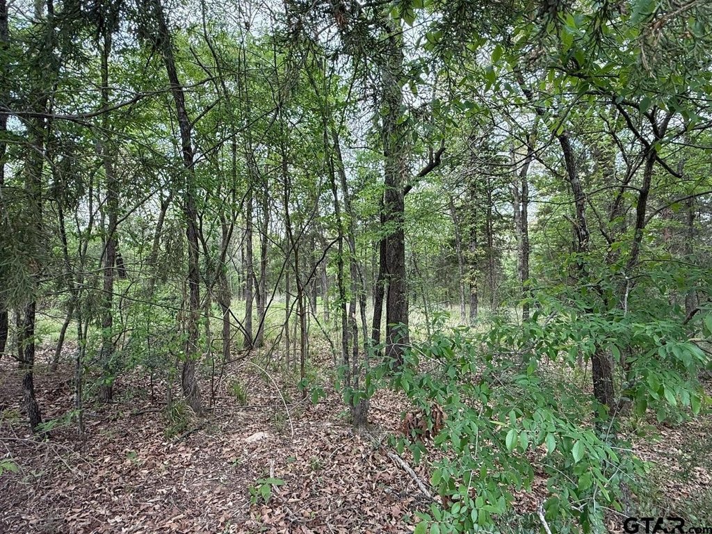 Picture 17