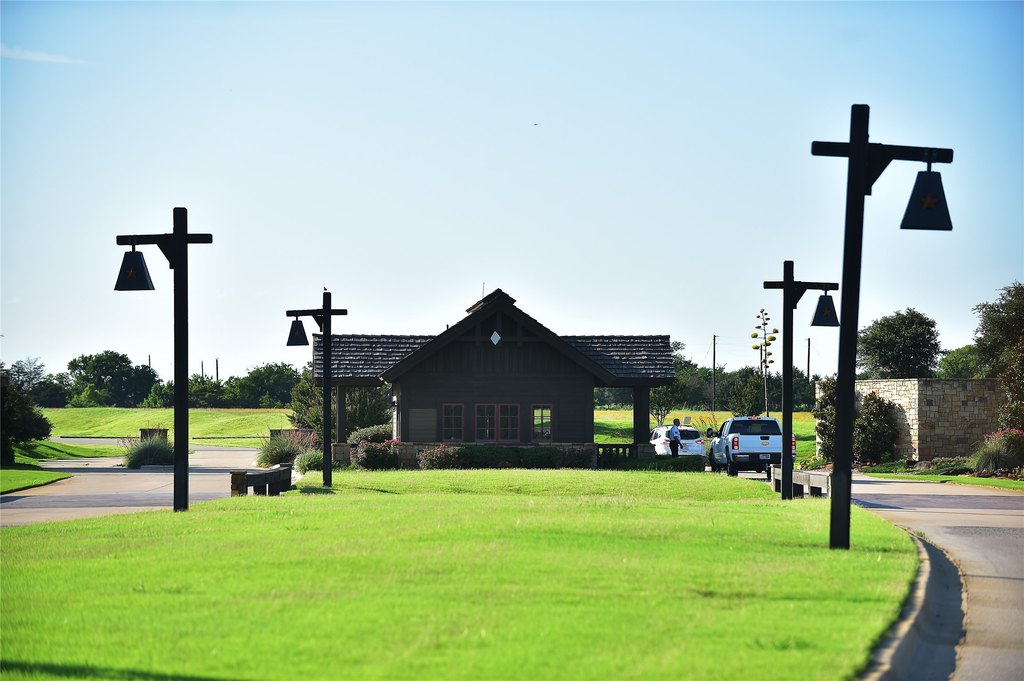 Picture 5