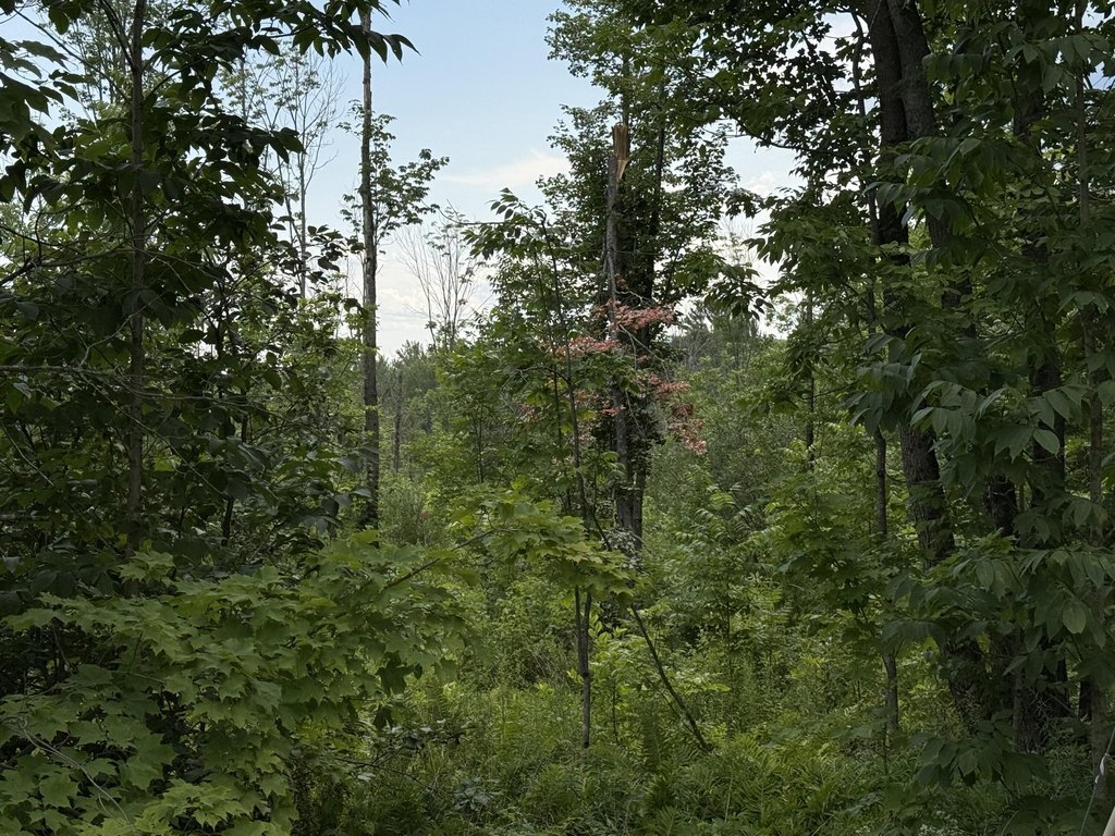 Picture 7