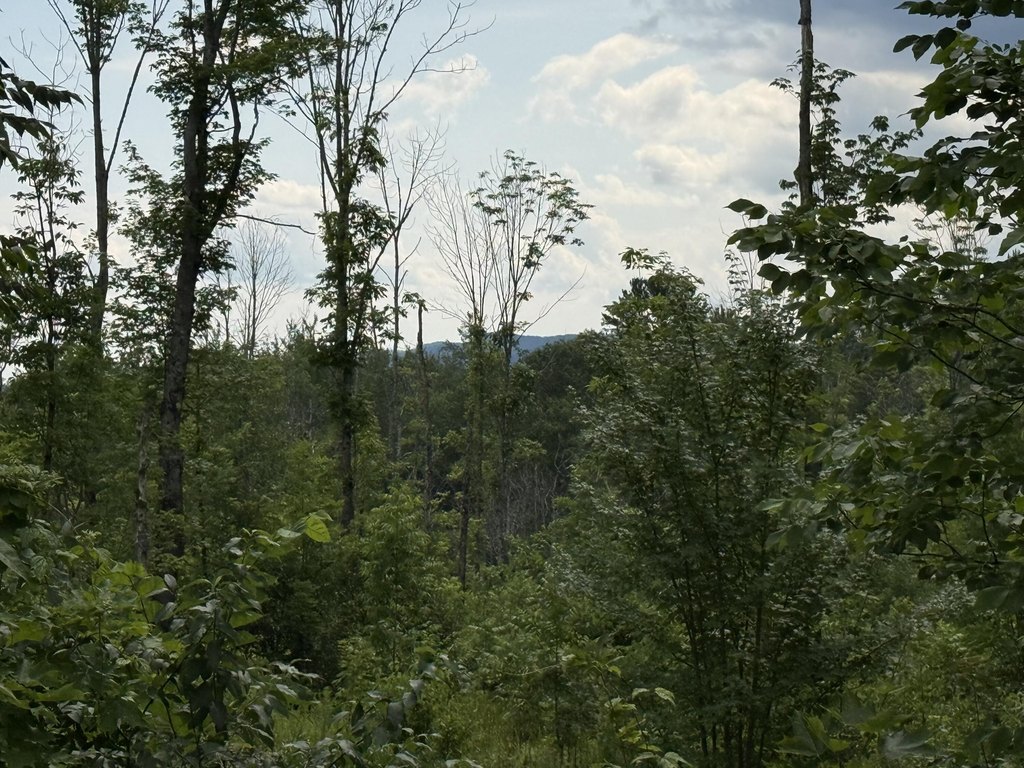 Picture 4