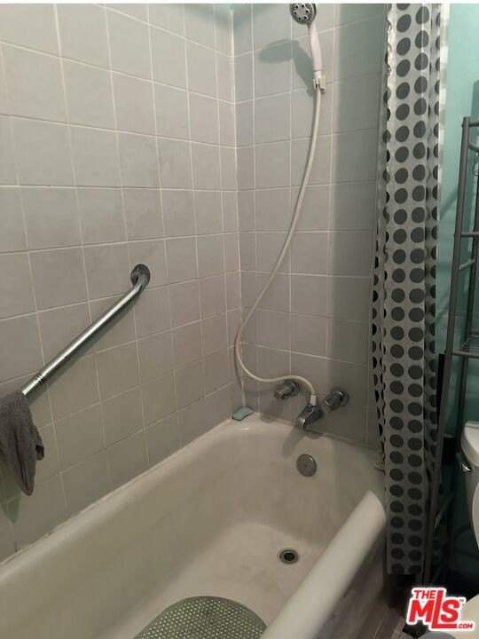 Picture 7