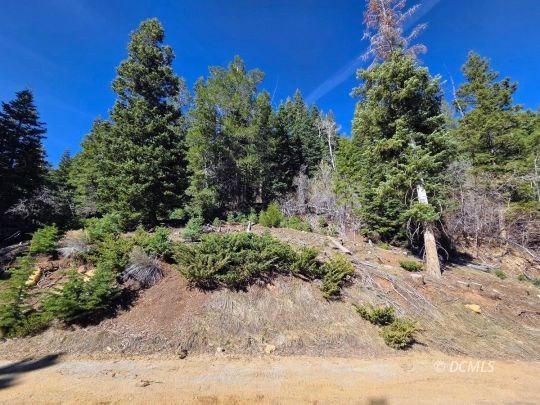 Duck Creek Village Building Lot