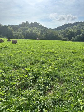 Land, Morristown, TN