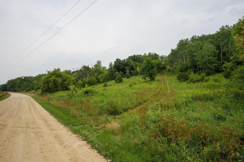 Picture 30