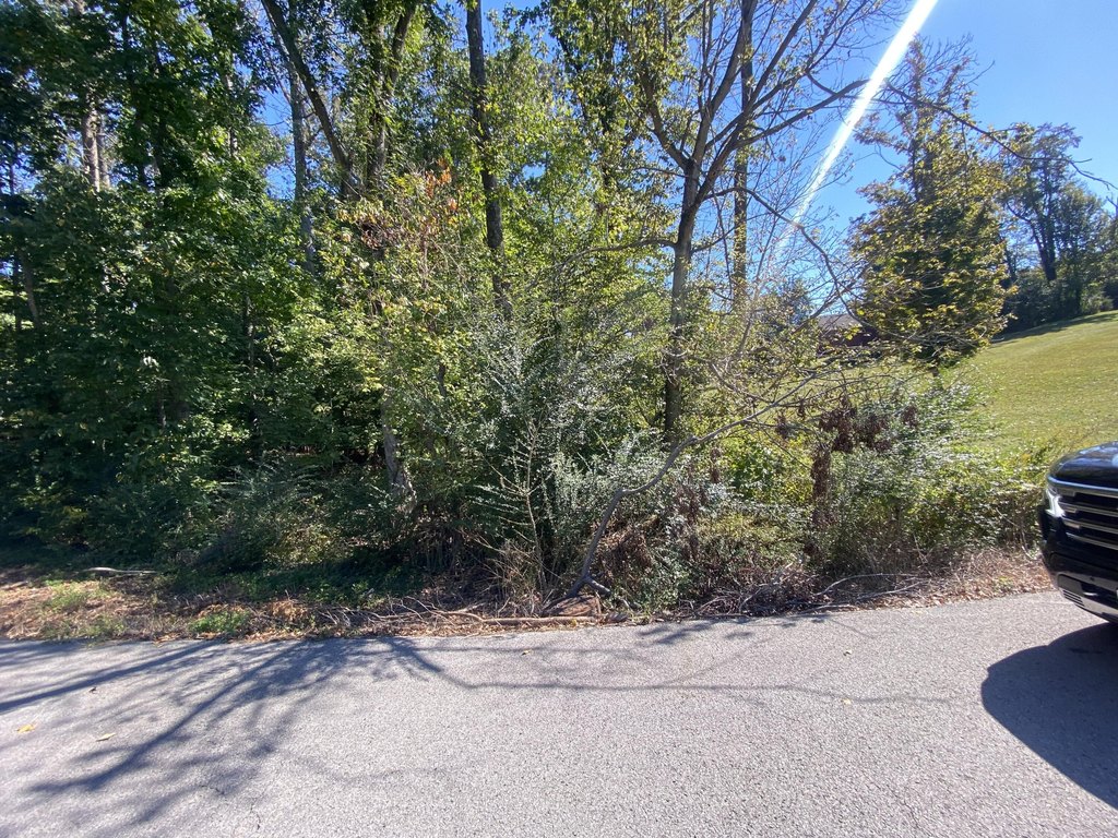 Picture 2