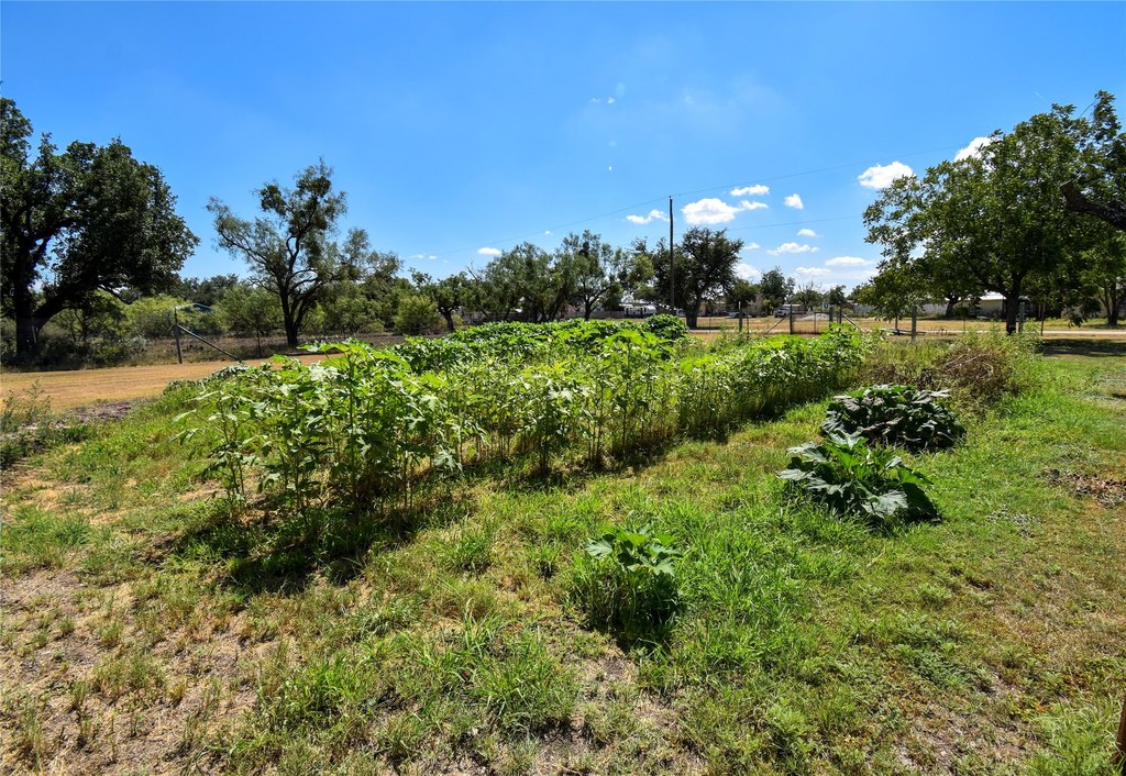 Picture 13