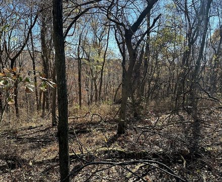 Wooded Lot Near Rogers, Arkansas