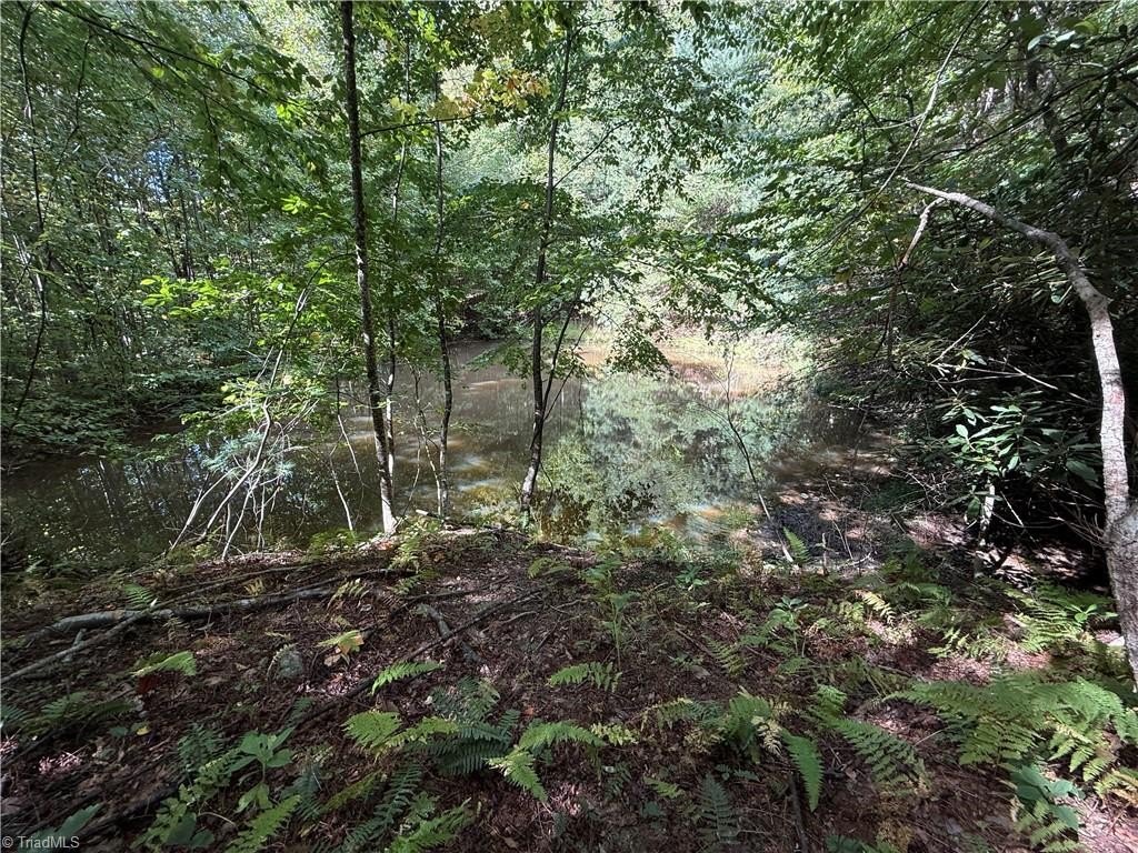 Picture 19