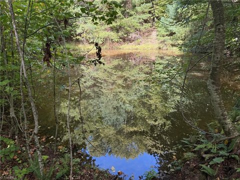 Land, Purlear, NC