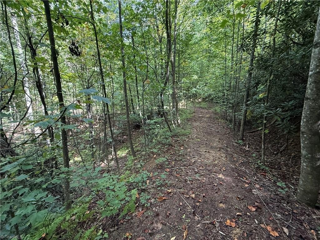 Picture 15