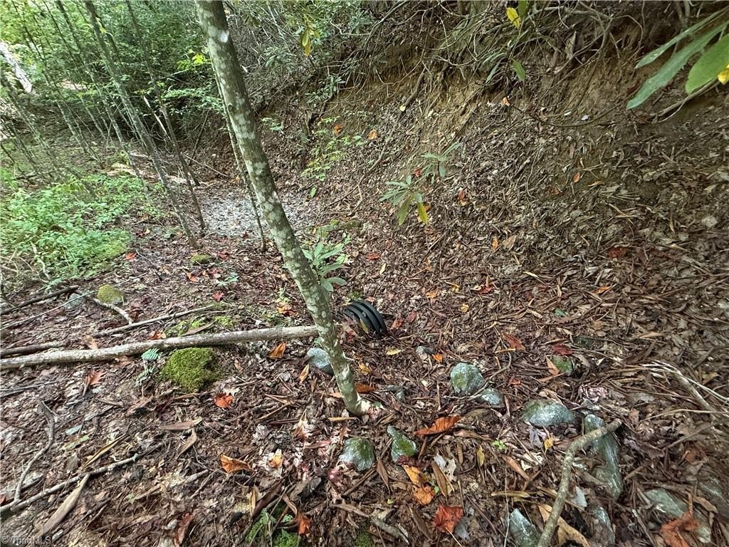 Picture 18