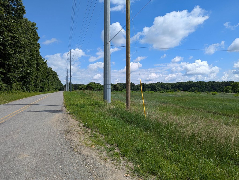 Picture 4