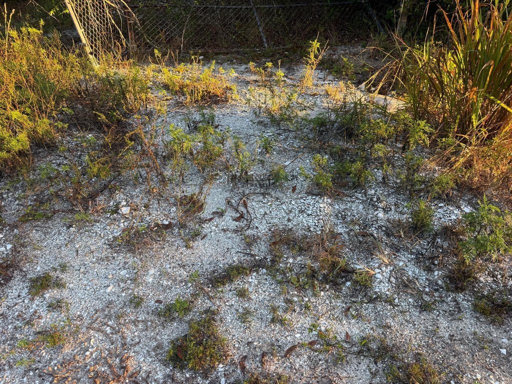 Picture 8