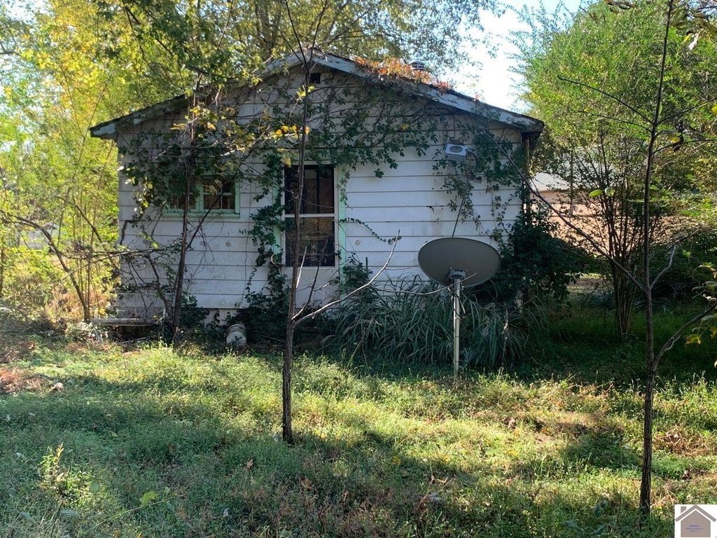 Picture 6