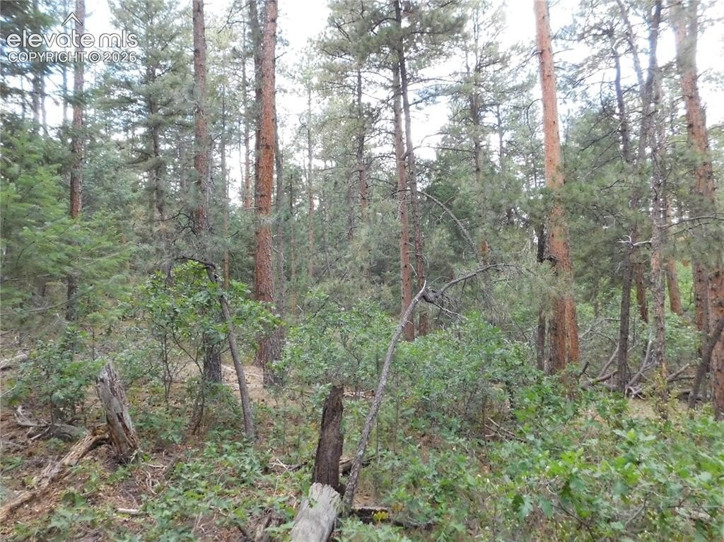 Picture 16