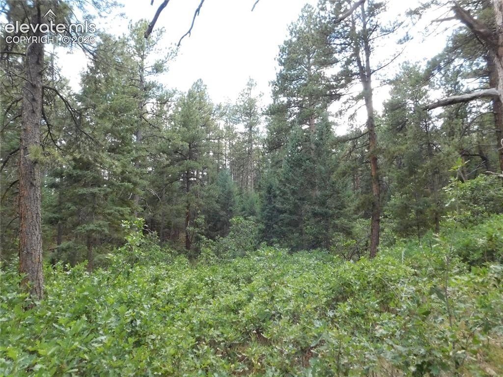Picture 14