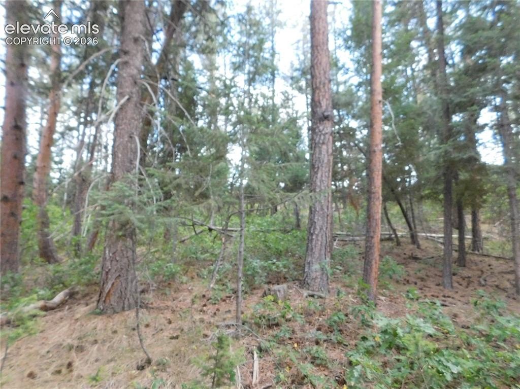 Picture 18