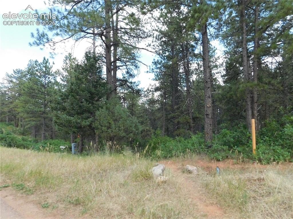 Picture 8