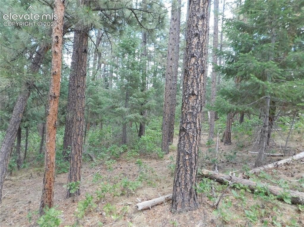 Picture 22