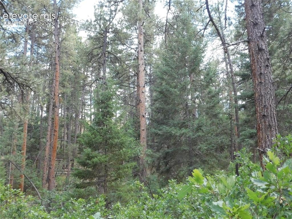 Picture 13