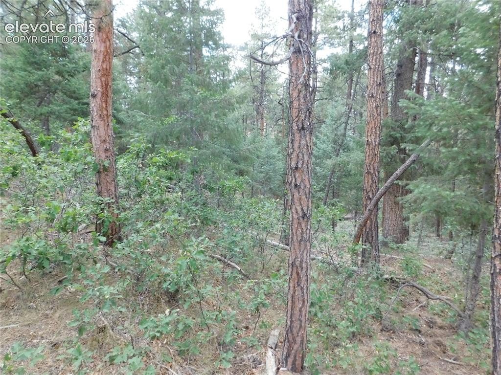 Picture 23