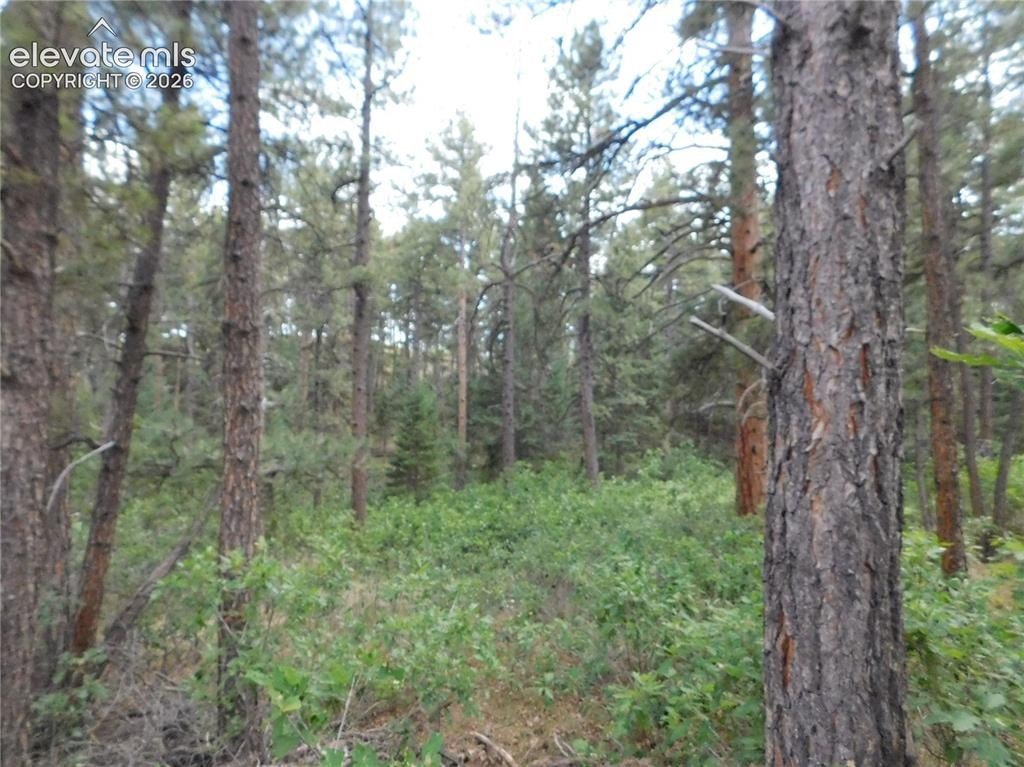 Picture 11