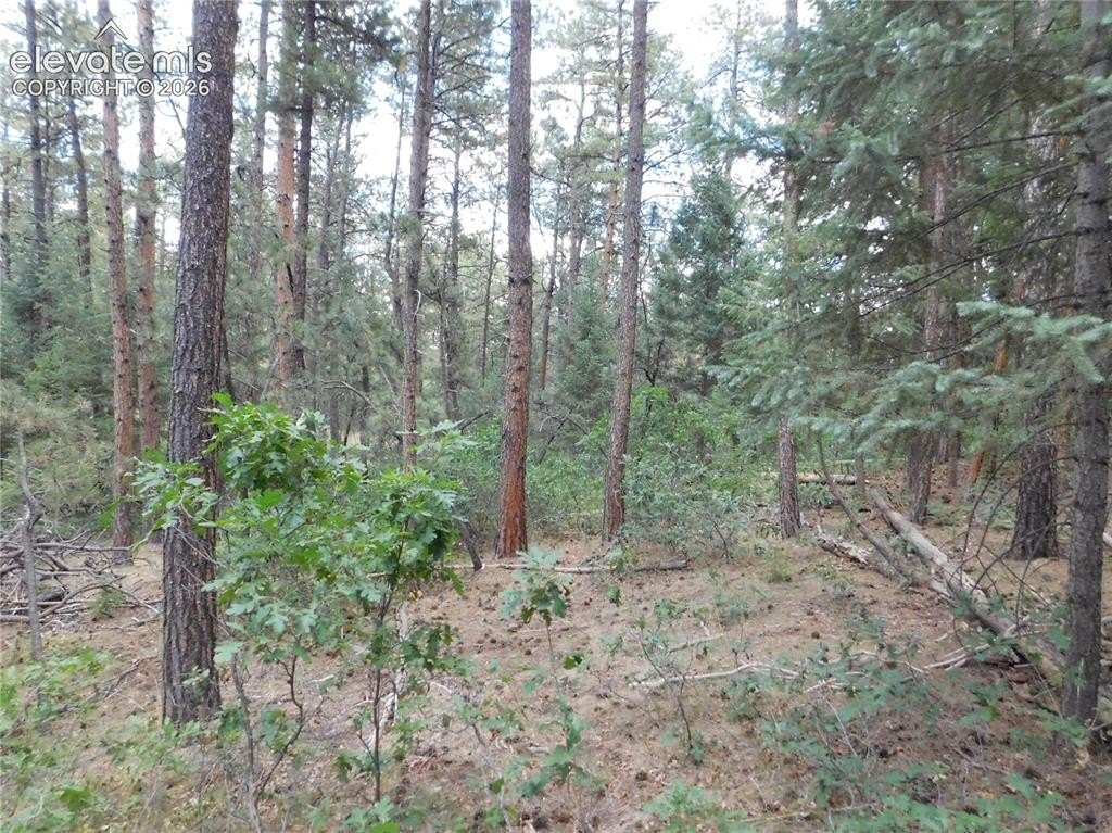 Picture 30