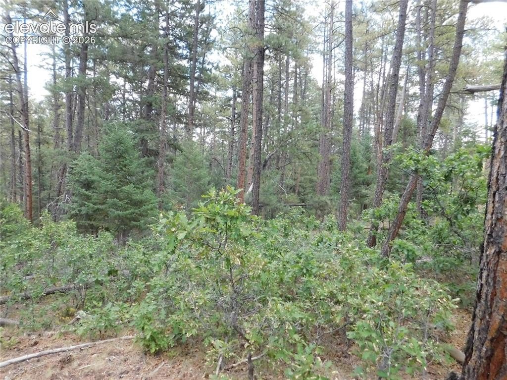 Picture 29