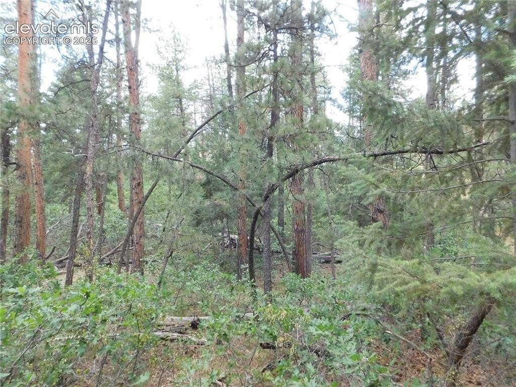 Picture 17