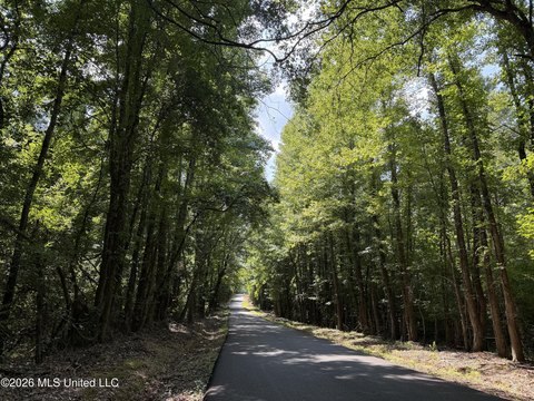 Land, Goodman, MS