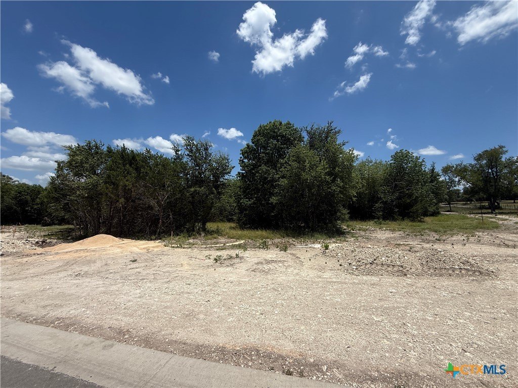 Picture 10