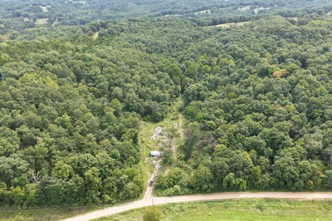 Wooded Hunting Land