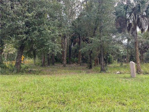 Land, Crystal River, FL