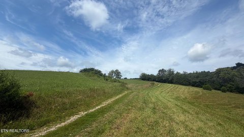 Fenced Agricultural Land