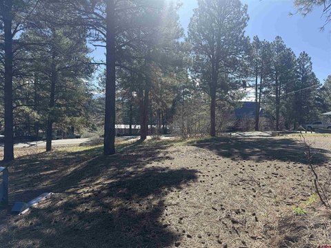Land in Pagosa Springs, CO