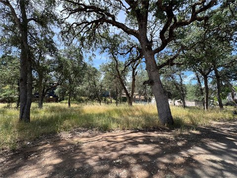Oversized Clearlake Lot For Sale