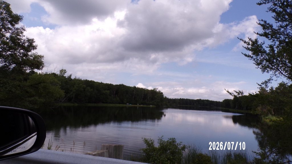 Picture 5