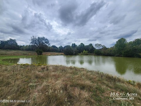 Land, Coldwater, MS