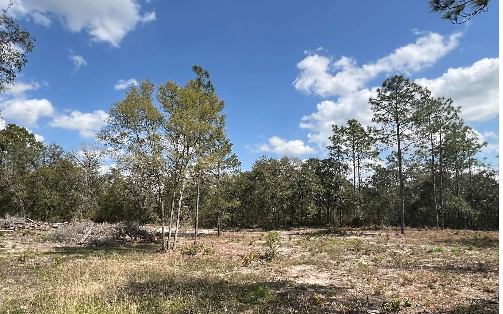 Williston Buildable Residential Lots