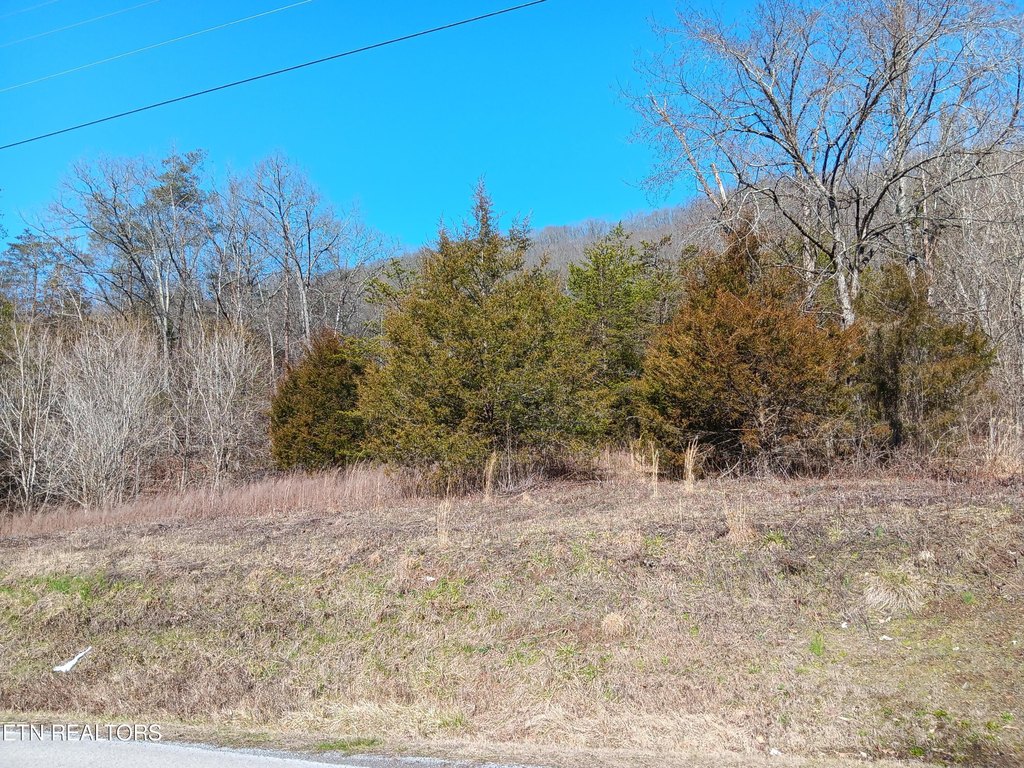 Picture 18
