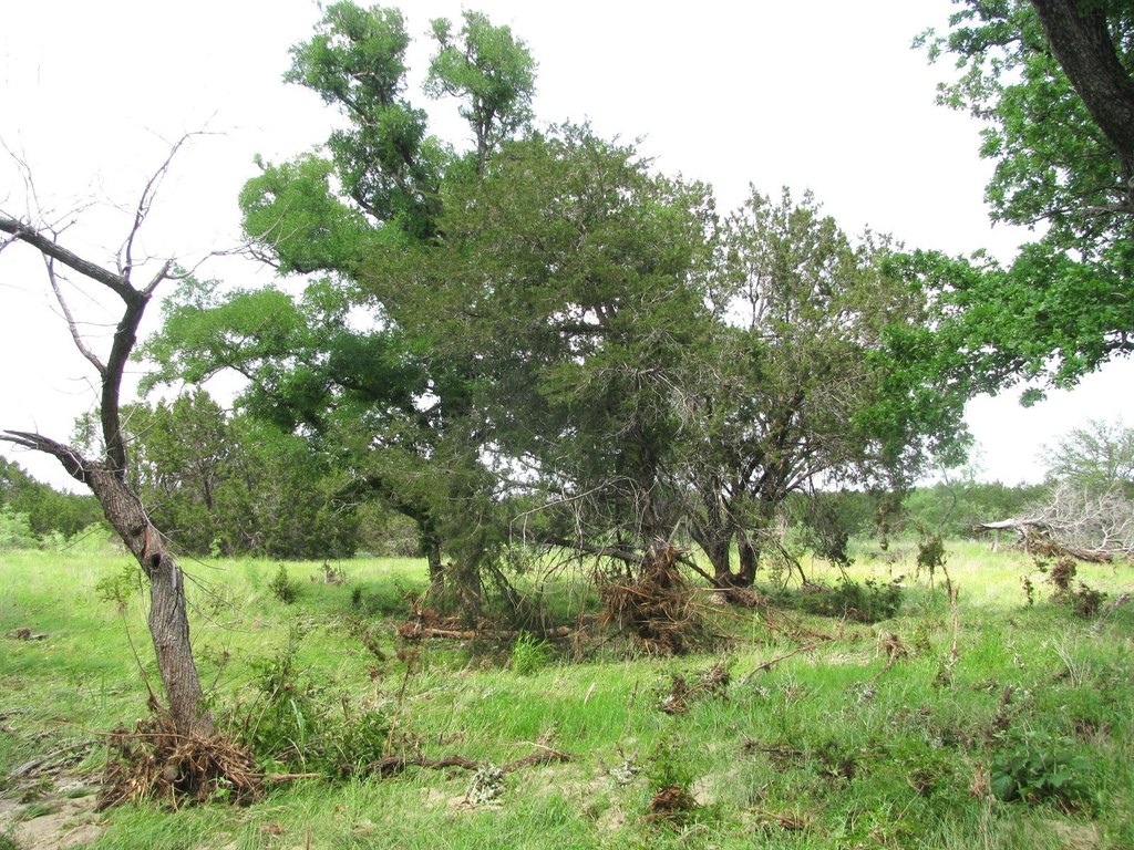 Picture 14