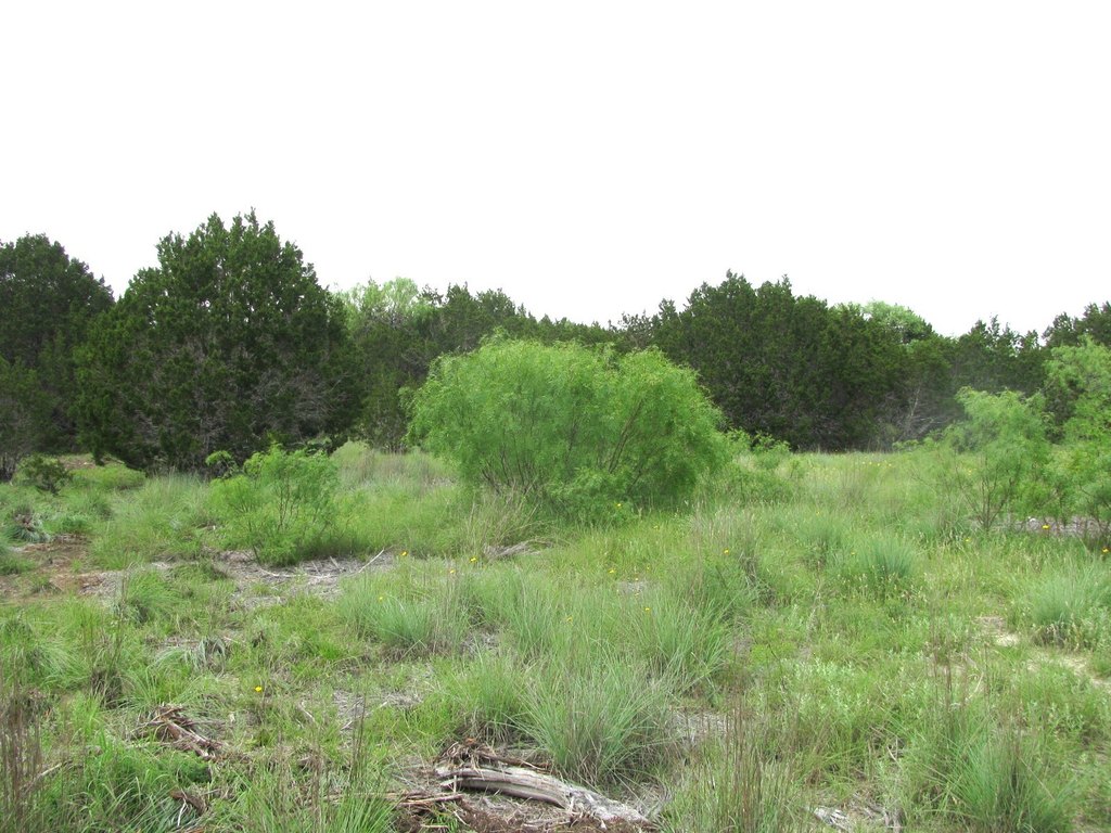 Picture 17