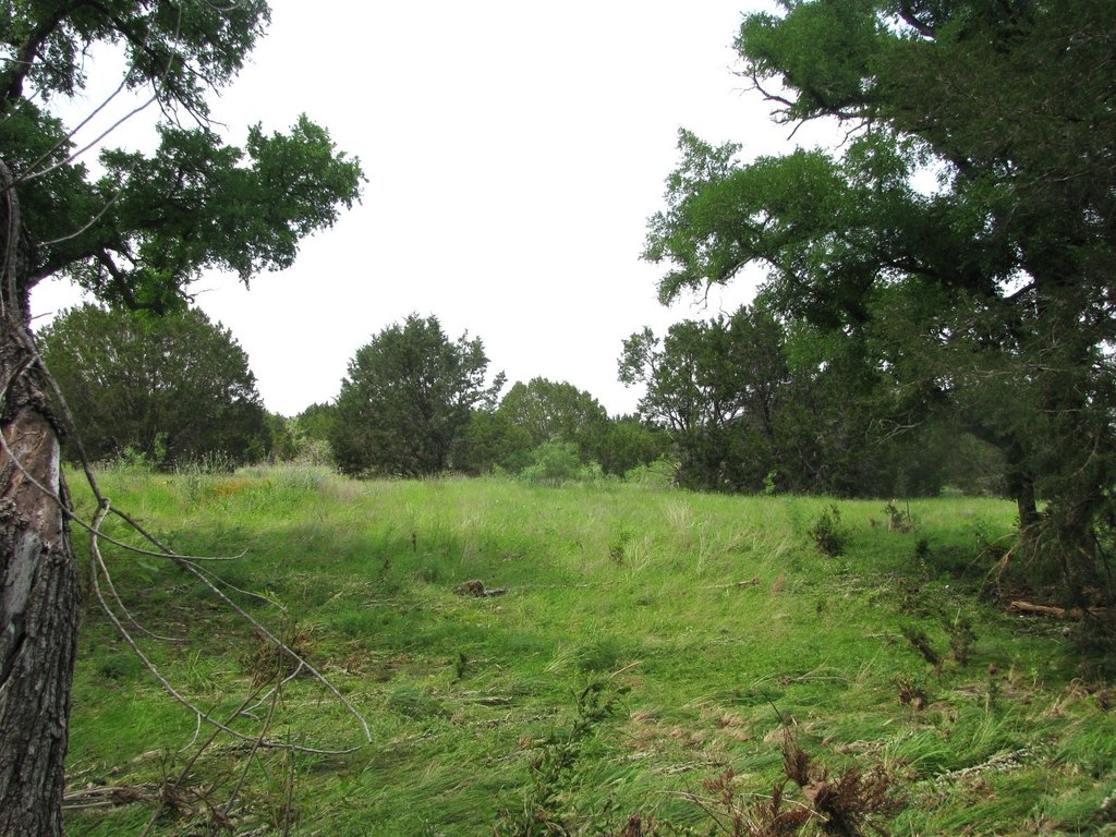 Picture 15