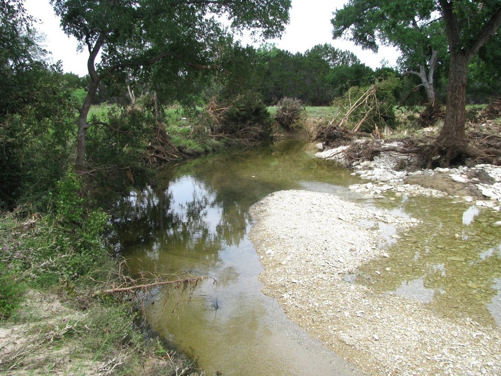 Picture 5